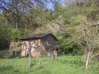 IMG_1283.JPG